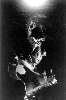 Marc Bolan-2