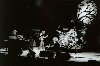 FLEETWOOD MAC